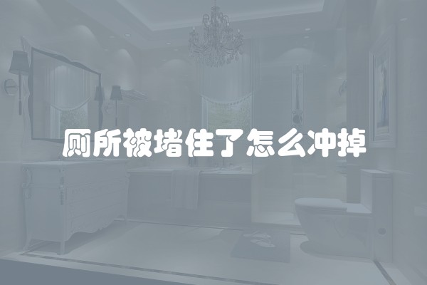 厕所被堵住了怎么冲掉 厕所被堵住了怎么冲掉