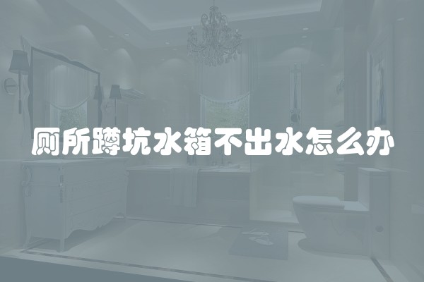 厕所蹲坑水箱不出水怎么办 厕所蹲坑水箱不出水怎么办
