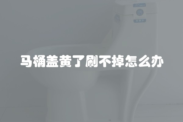 马桶盖黄了刷不掉怎么办 马桶盖黄了刷不掉怎么办