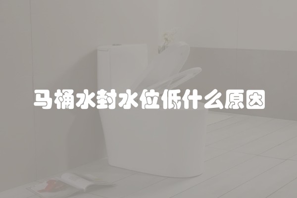 马桶水封水位低什么原因 马桶水封水位低什么原因