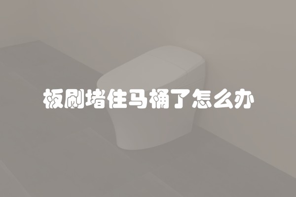 板刷堵住马桶了怎么办
