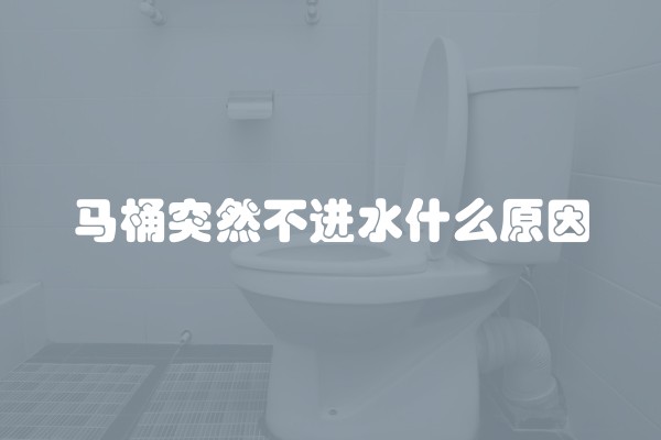 马桶突然不进水什么原因 马桶突然不进水什么原因