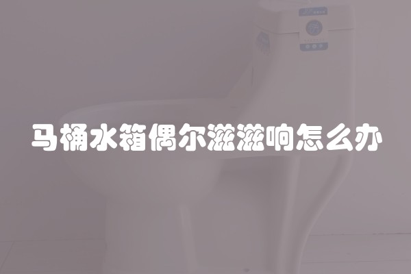 马桶水箱偶尔滋滋响怎么办 马桶水箱偶尔滋滋响怎么办