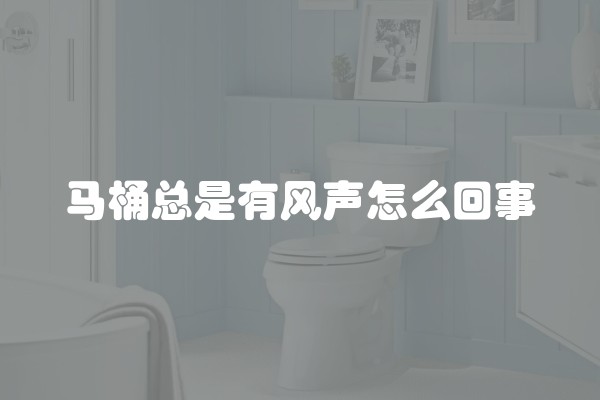 马桶总是有风声怎么回事