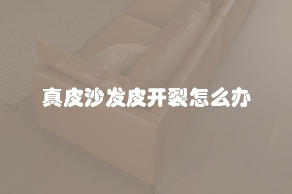 真皮沙发皮开裂怎么办 真皮沙发皮开裂怎么办