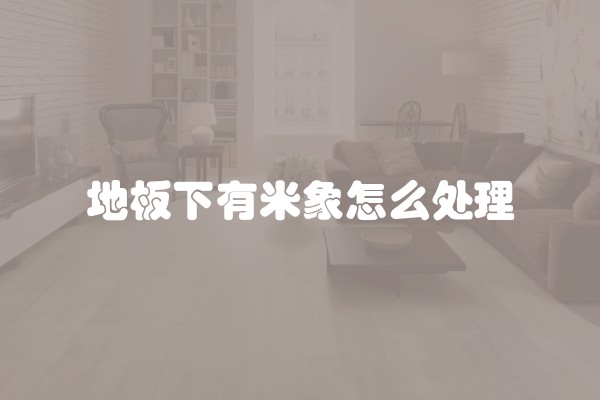 地板下有米象怎么处理 地板下有米象怎么处理