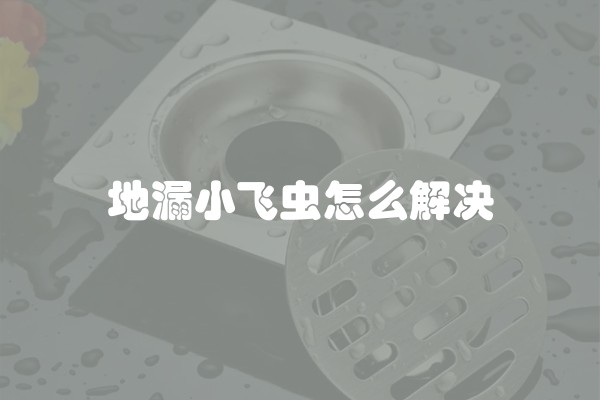 地漏小飞虫怎么解决 地漏小飞虫怎么解决