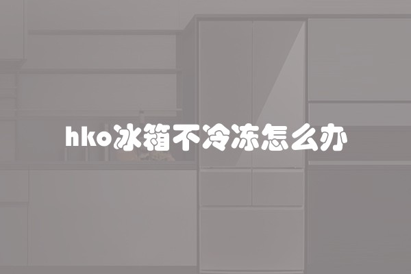hko冰箱不冷冻怎么办 hko冰箱不冷冻怎么办