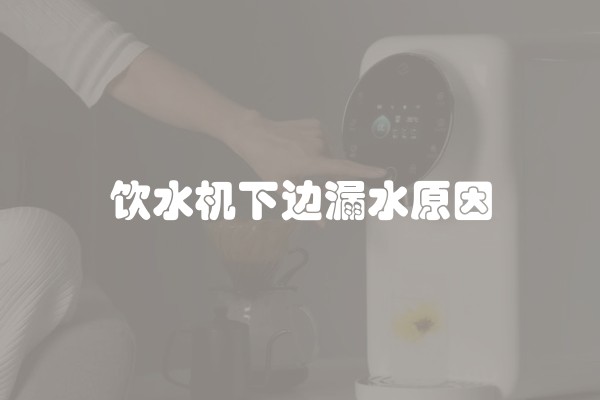 饮水机下边漏水原因