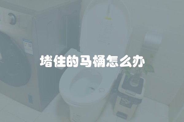堵住的马桶怎么办 堵住的马桶怎么办