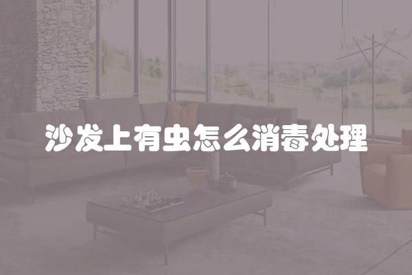沙发上有虫怎么消毒处理