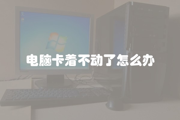 电脑卡着不动了怎么办 电脑卡着不动了怎么办