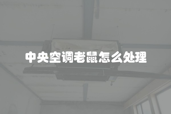 中央空调老鼠怎么处理
