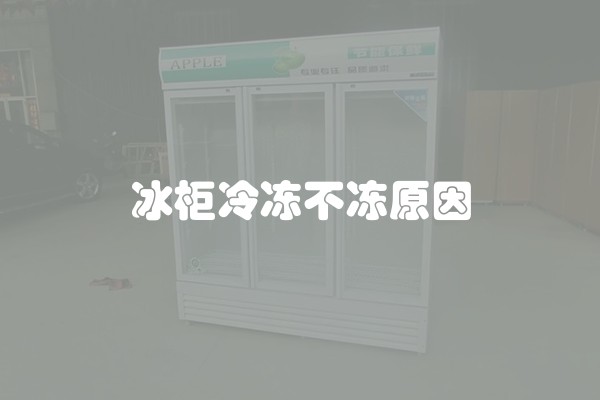冰柜冷冻不冻原因 冰柜冷冻不冻原因