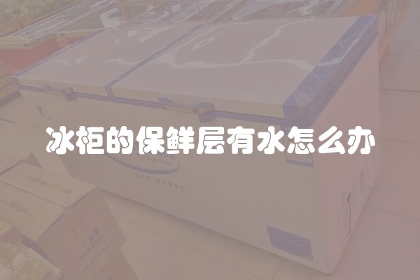 冰柜的保鲜层有水怎么办 冰柜的保鲜层有水怎么办