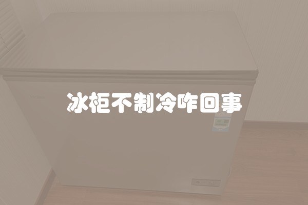 冰柜不制冷咋回事