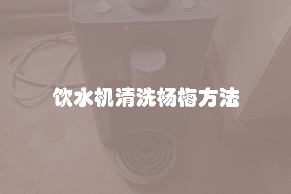 饮水机清洗杨梅方法 饮水机清洗杨梅方法