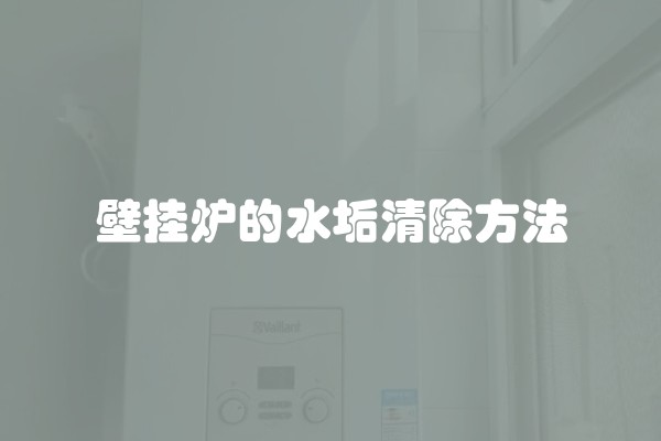 壁挂炉的水垢清除方法 壁挂炉的水垢清除方法