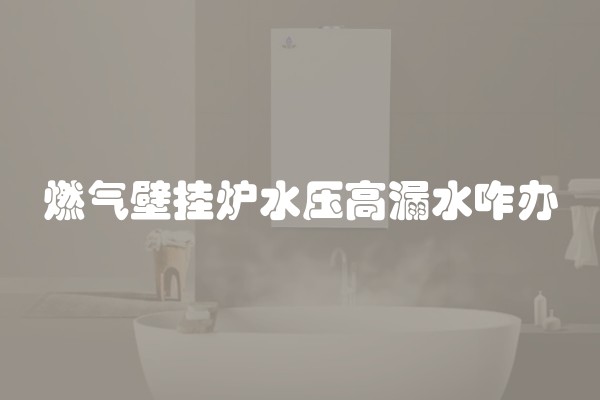 燃气壁挂炉水压高漏水咋办