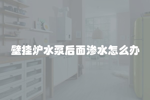 壁挂炉水泵后面渗水怎么办 壁挂炉水泵后面渗水怎么办