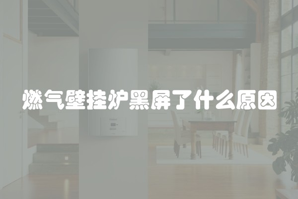 燃气壁挂炉黑屏了什么原因