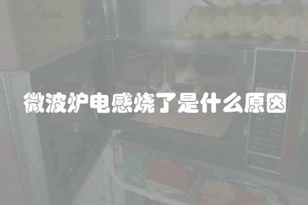 微波炉电感烧了是什么原因