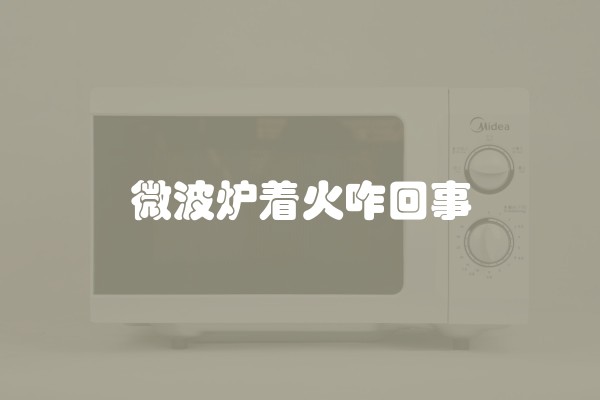 微波炉着火咋回事