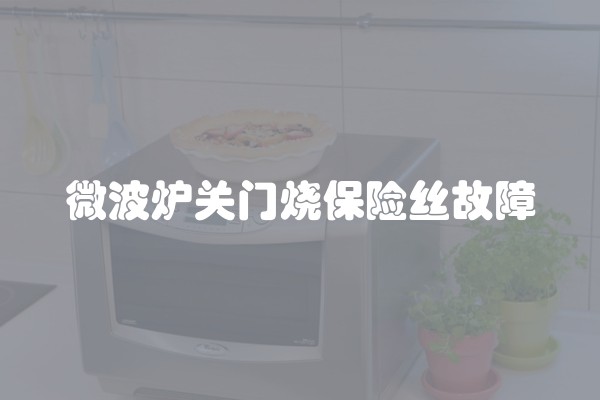 微波炉关门烧保险丝故障