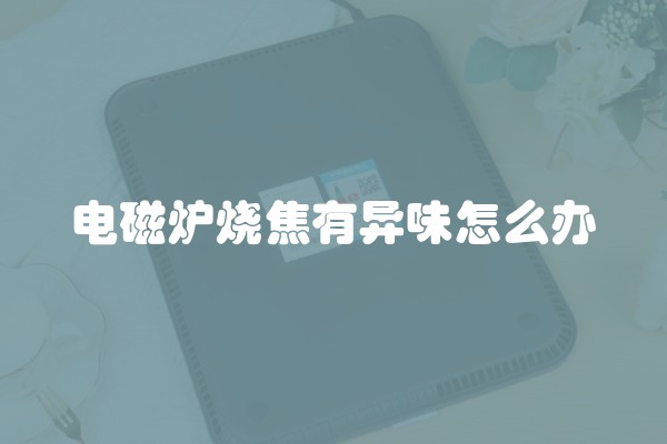 电磁炉烧焦有异味怎么办