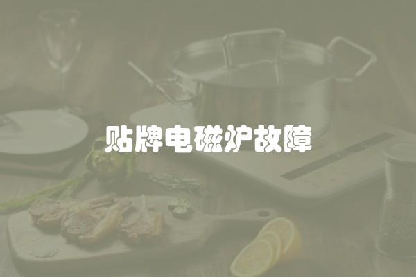 贴牌电磁炉故障