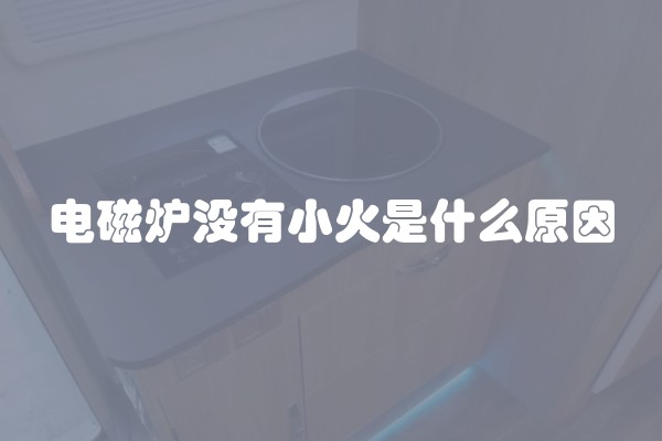 电磁炉没有小火是什么原因