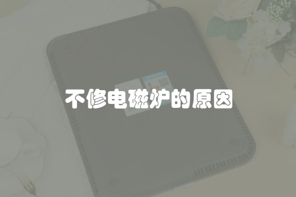不修电磁炉的原因 不修电磁炉的原因