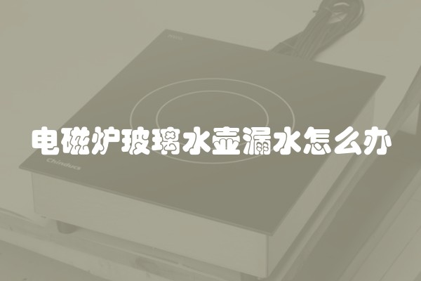电磁炉玻璃水壶漏水怎么办