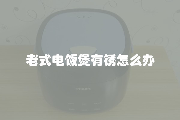 老式电饭煲有锈怎么办