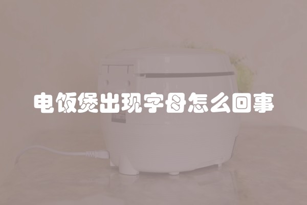 电饭煲出现字母怎么回事