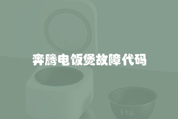 奔腾电饭煲故障代码