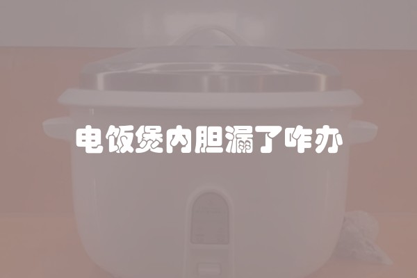 电饭煲内胆漏了咋办 电饭煲内胆漏了咋办