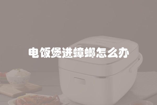 电饭煲进蟑螂怎么办