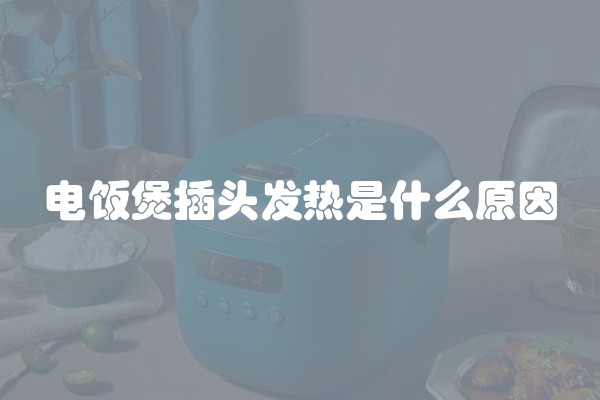 电饭煲插头发热是什么原因