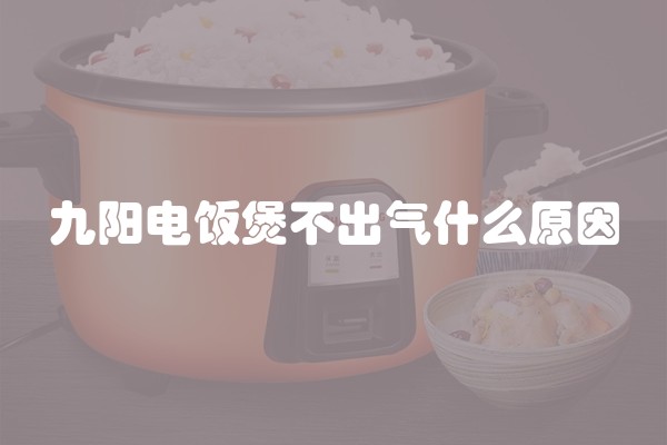 九阳电饭煲不出气什么原因