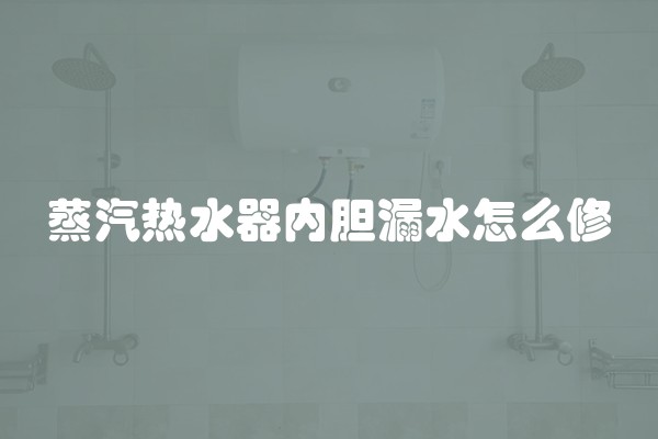 蒸汽热水器内胆漏水怎么修