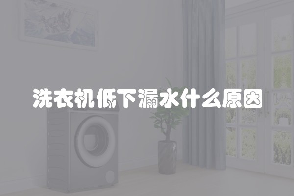 洗衣机低下漏水什么原因