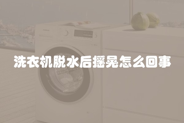 洗衣机脱水后摇晃怎么回事
