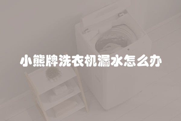 小熊牌洗衣机漏水怎么办