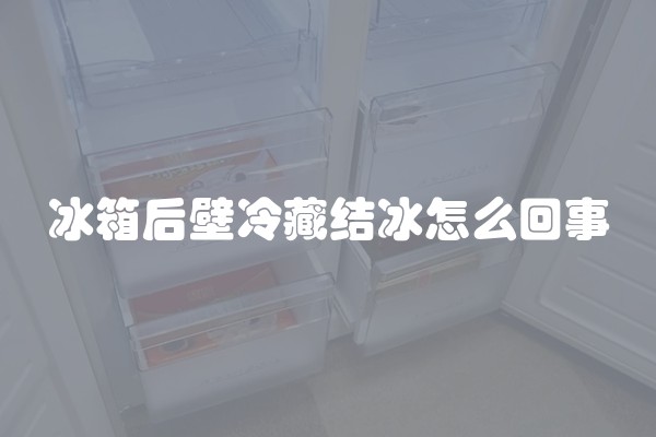 冰箱后壁冷藏结冰怎么回事