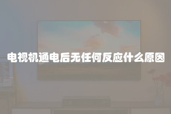 电视机通电后无任何反应什么原因