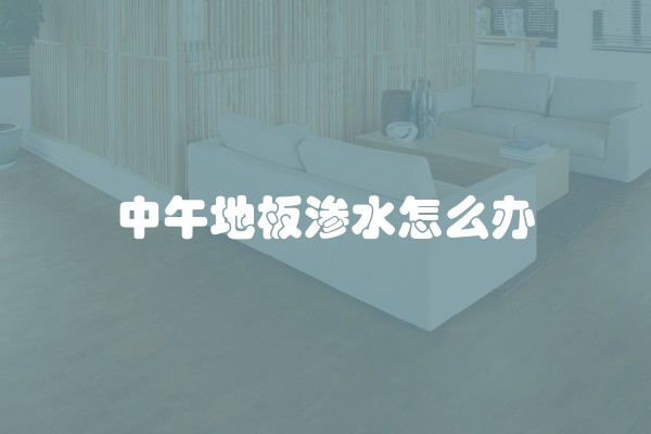 中午地板渗水怎么办 中午地板渗水怎么办