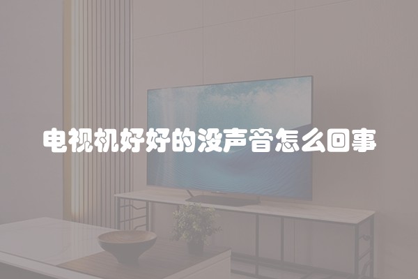 电视机好好的没声音怎么回事
