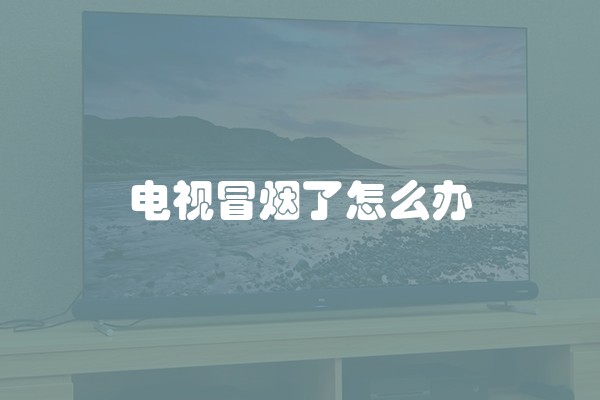 电视冒烟了怎么办