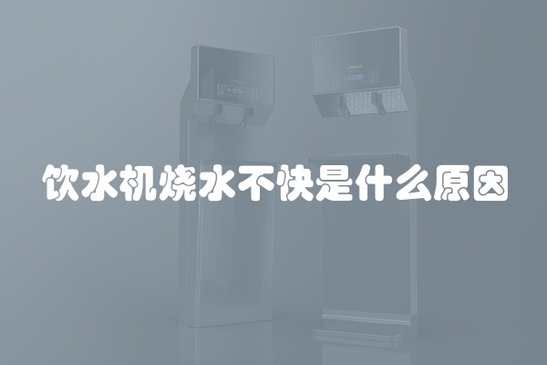 自已刷乳胶漆的流程以及注意事项是什么